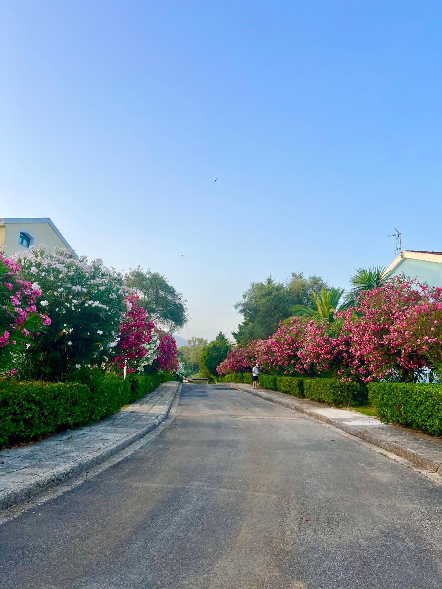 Apartment Beko Corfu House *